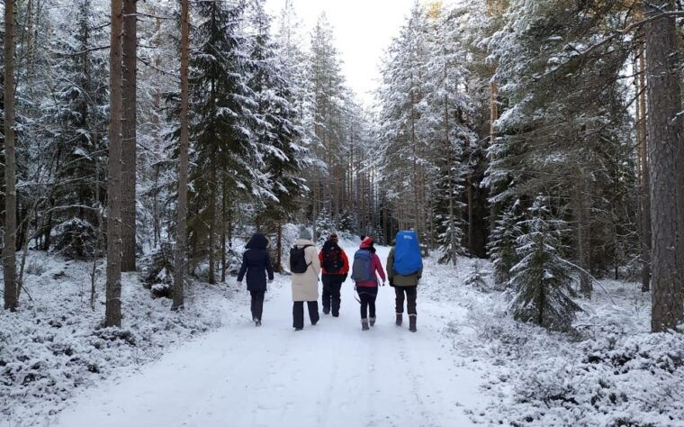 helsinki-winter-wonderland-liesjarvi-national-park-hike
