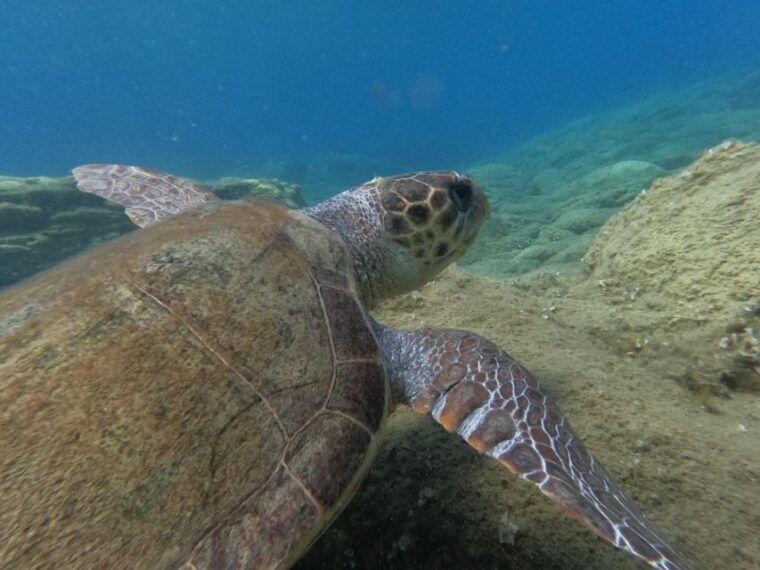 heraklion-beginner-friendly-snorkeling-trip