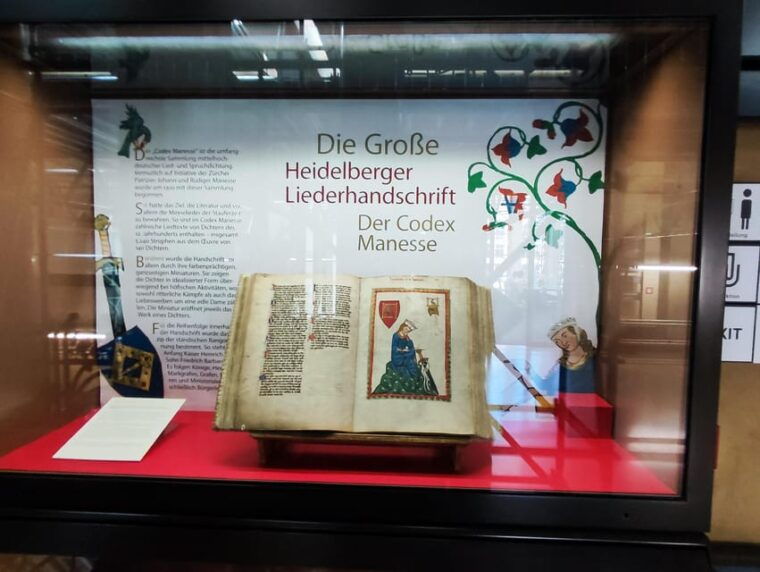 high-lights-of-heidelberg-private-tour-of-castle-and-town
