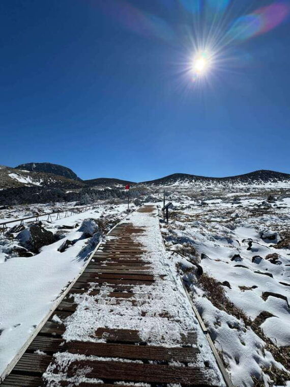 hike-hallasan-on-jeju-island-south-koreas-highest-mountain