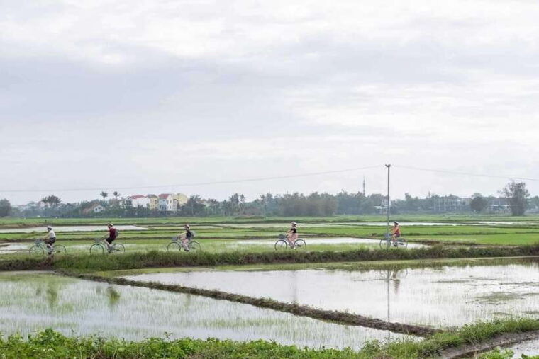 hoi-an-eco-bicycle-tour-with-fishing-and-lunch-dinner