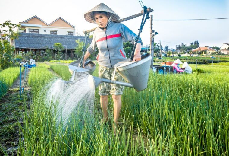 hoi-an-half-day-biking-through-hoi-ans-culinary-delights