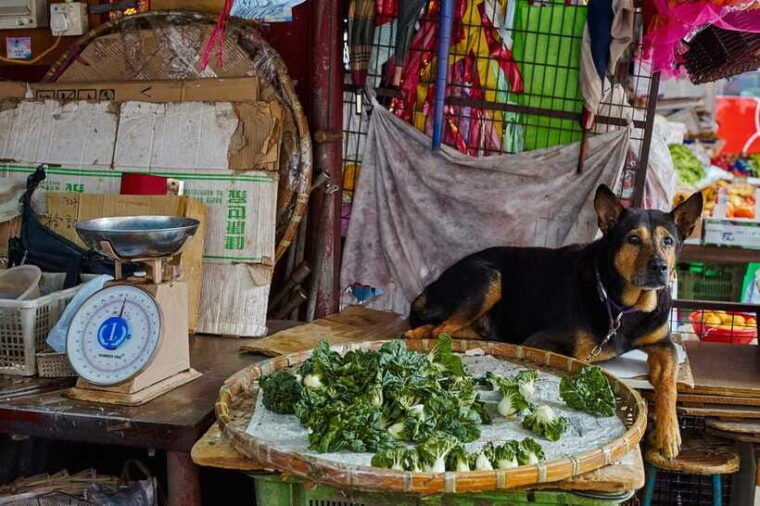 hong-kong-photographic-tour-of-kowloons-yau-tsim-mong-district