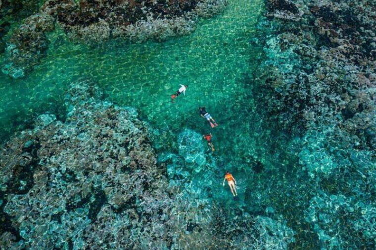 huatulco-premium-family-snorkeling-experience