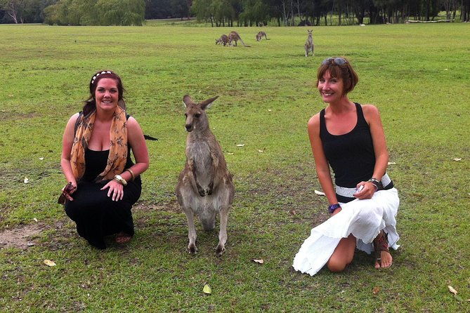 Hunter Valley Private Wine Tasting Tour from Sydney - Why This Tour Offers Great Value