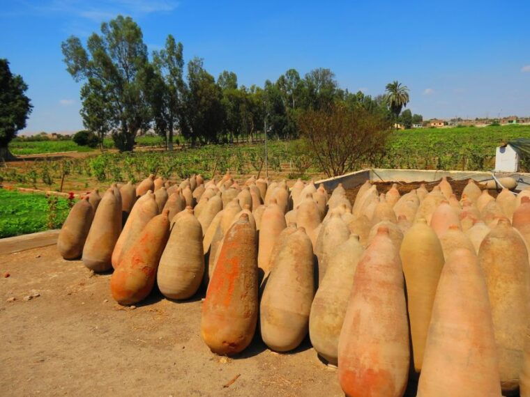 ica-private-city-tour-wine-tasting