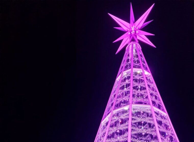 innsbruck-christmas-tour-with-a-licensed-guide