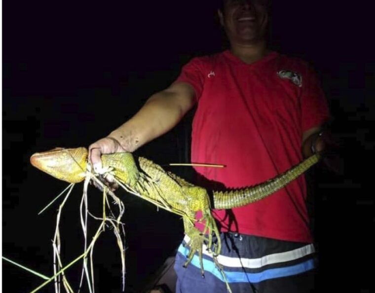 iquitos-3-day-amazon-adventure-with-nature-and-wildlife