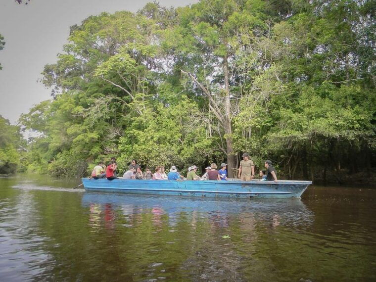 iquitos-amazon-three-day-exploration-rainforest