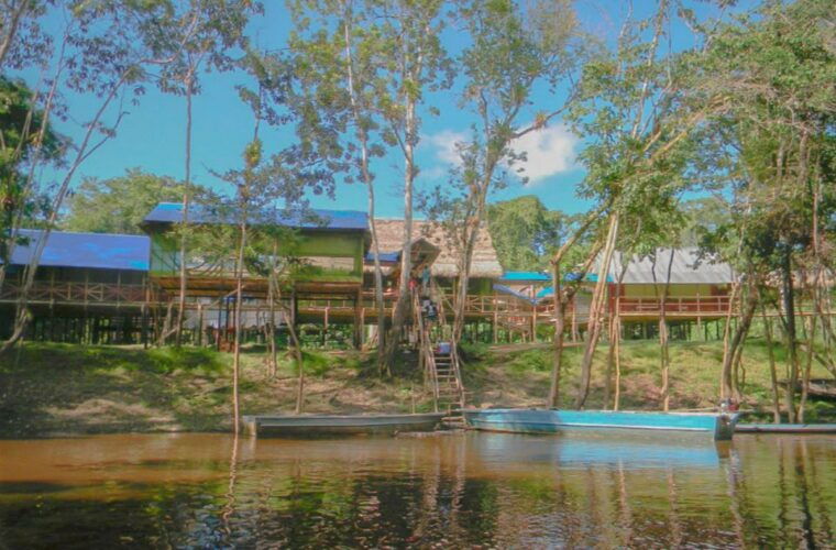 iquitos-to-the-amazon-2-day-jungle-wildlife-experience