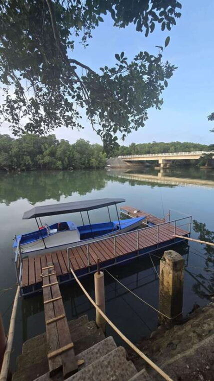 iwahig-river-cruise-firefly-watching
