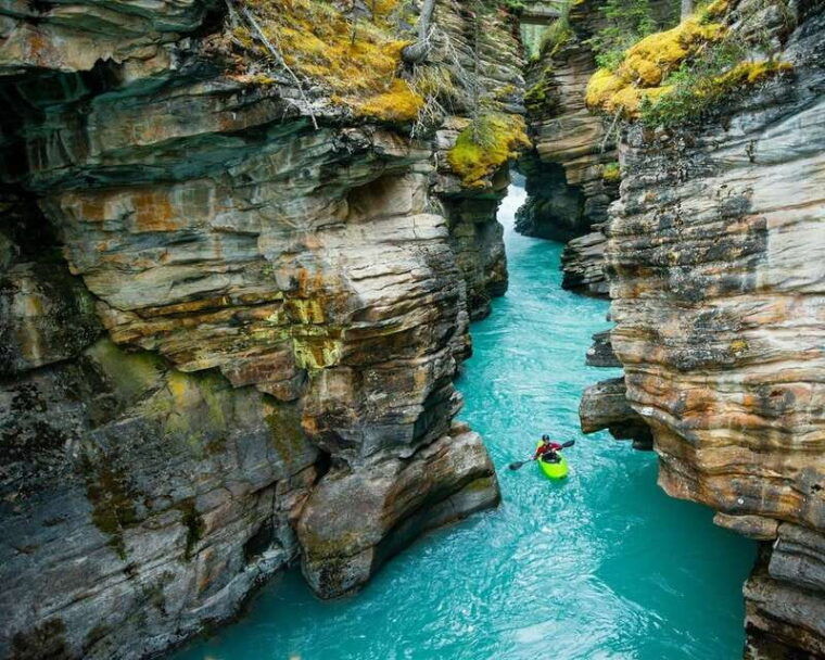 jasper-maligne-valley-wildlife-watching-boat-tour