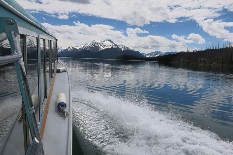 jasper-wildlife-and-waterfalls-tour-with-maligne-cruise