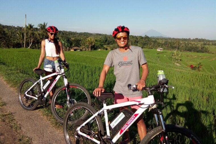 jatiluwih-unesco-site-2-hour-e-bike-cycling-tour