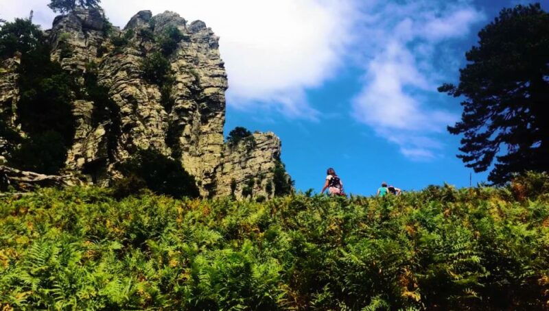 jeep-safari-in-thassos-mountain