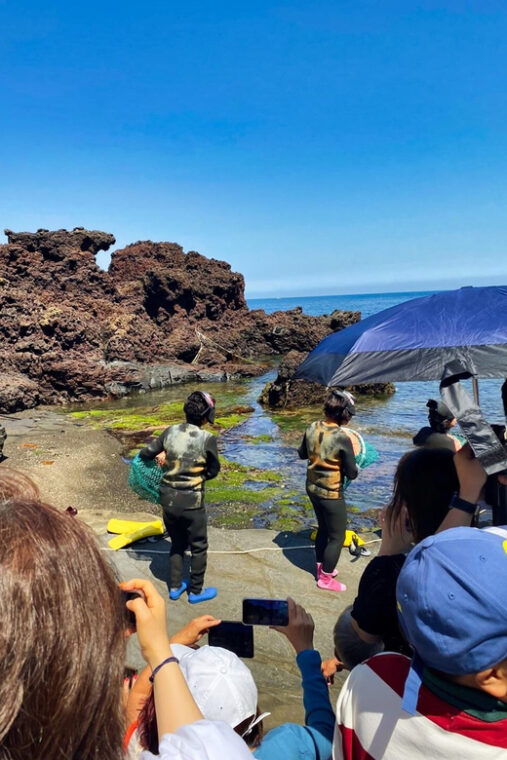jeju-customized-shore-excursions-for-up-to-7-people