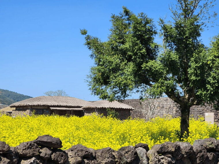 jeju-eastern-jeju-unesco-spots-day-tour