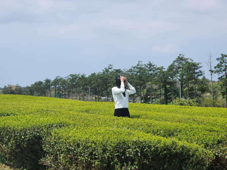 jeju-island-southern-top-unesco-spots-tour