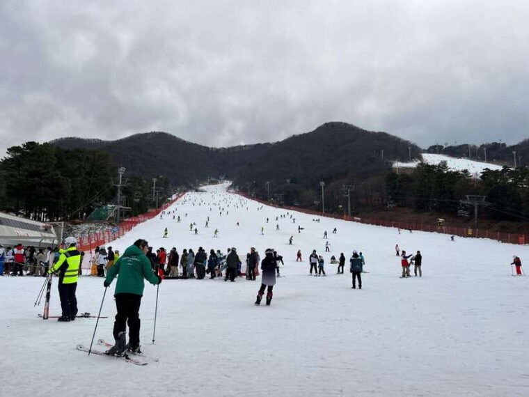 jisan-forest-ski-resort-one-day-tour