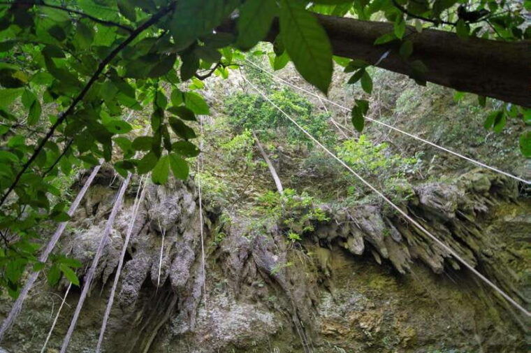 jomblang-cave-pindul-cave-including-guides-lunch-ticket