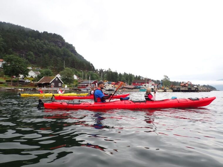 jorpeland-guided-fjord-tour-kayak