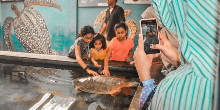 kalutara-turtle-hatchery-visit-boat-safari-and-galle-tour