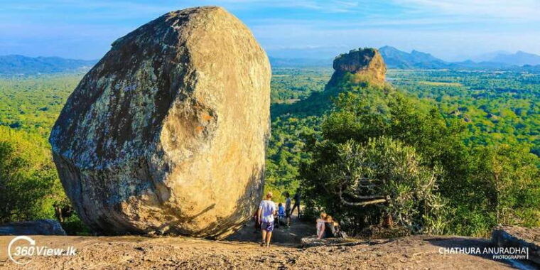 kandy-pidurangala-rock-sunrise-and-minneriya-safari-trip
