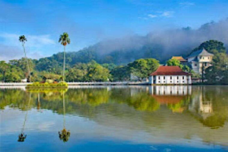 kandy-pinnawala-tea-factory-full-day-tour-from-negombo