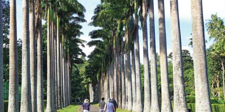 kandy-private-guided-city-tours-by-tuk-tuk-sightseeing-tour