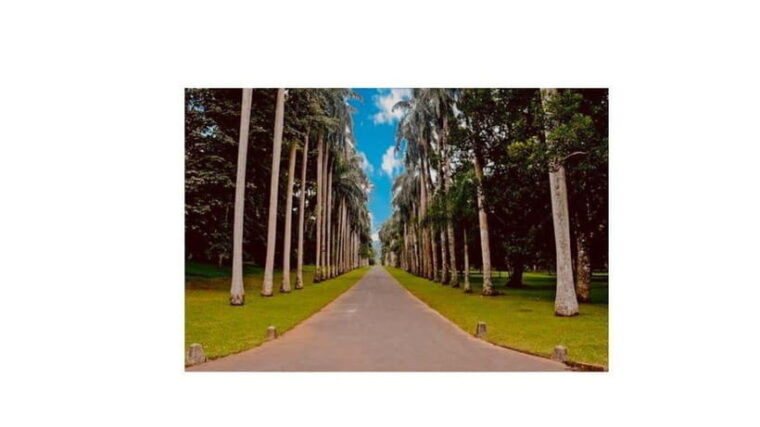 kandy-to-ambuluwawa-day-tour-by-luxary-car