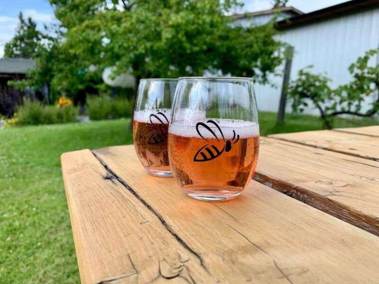 kelowna-e-bike-bee-tour-w-tastings-lunch-and-audioguide