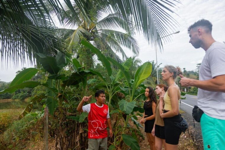 khao-lak-eco-safari-elephant-sanctuary-small-group-tour