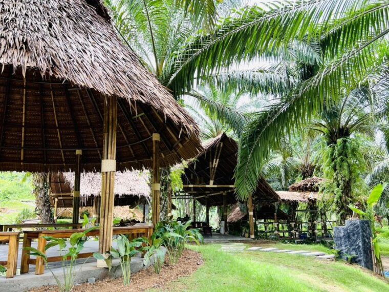 khao-sok-ethical-elephant-sanctuary-visit