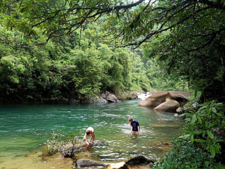 khao-sok-private-day-trekking-jungle-dinner-night-safari