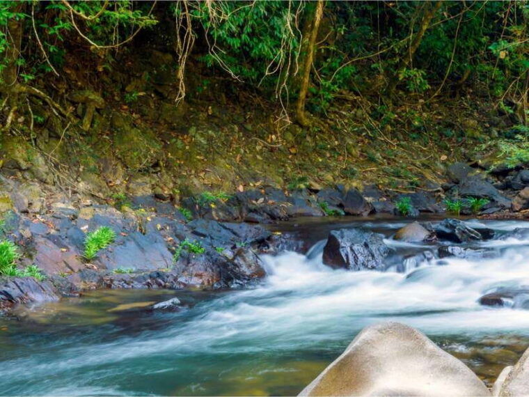 khao-sok-private-waterfalls-and-wildlife-half-day-trek