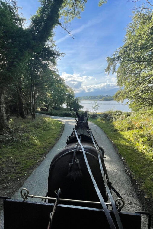 killarney-carriage-tours-national-park-and-lakes