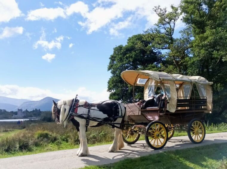 killarney-killarney-national-park-private-tour