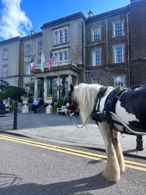 killarney-national-park-tour-2