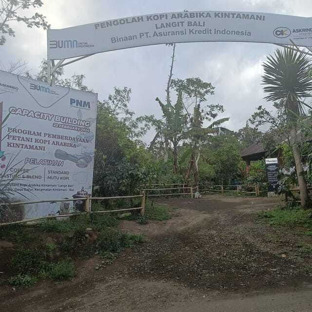 kintamani-bali-coffee-adventure
