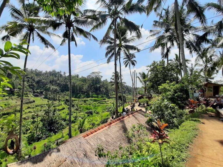 kintamani-volcano-the-heritage-of-bali-tour