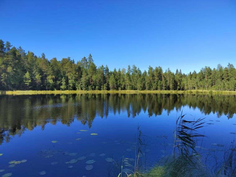 kintulammi-nature-experience-nature-reserve-near-tampere