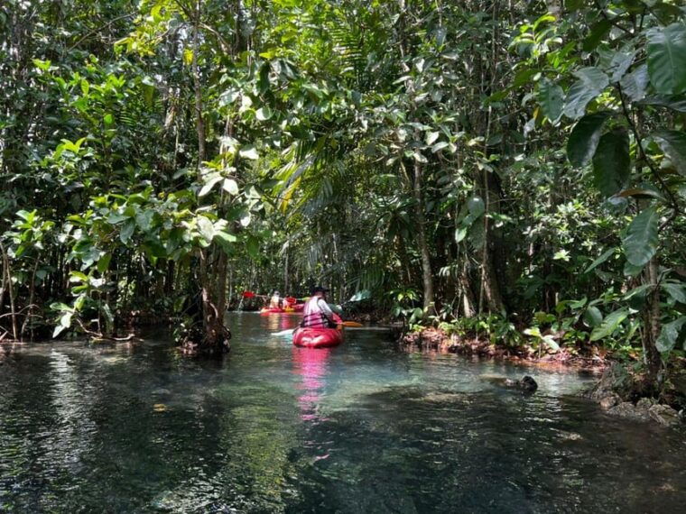 klong-rud-kayaking-with-hotel-transfer
