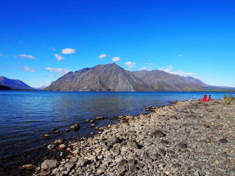 kluane-national-park-full-day-tour
