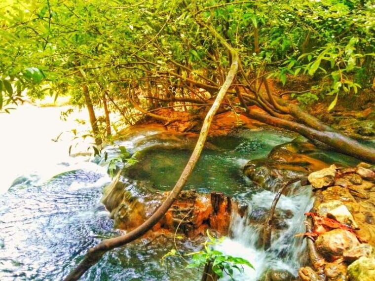 ko-lanta-full-day-emerald-poolhot-spring-with-tiger-temple