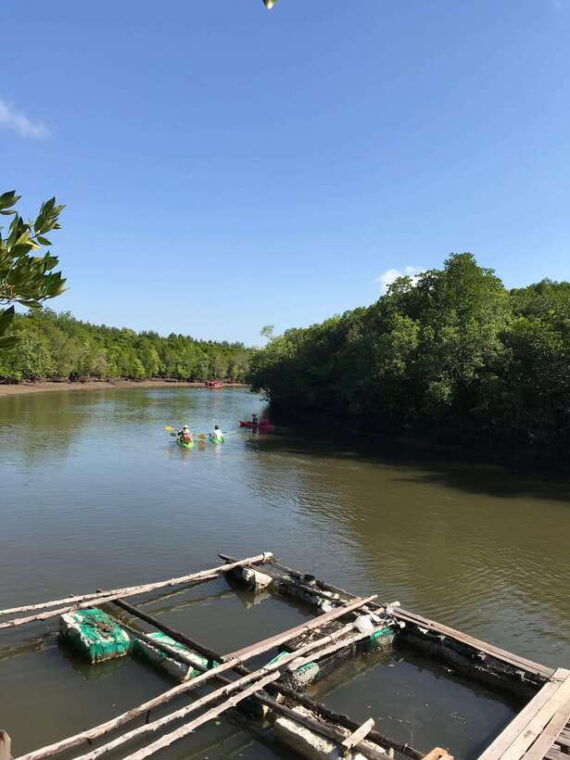 ko-lanta-half-day-mangrove-kayaking-tour-with-lunch
