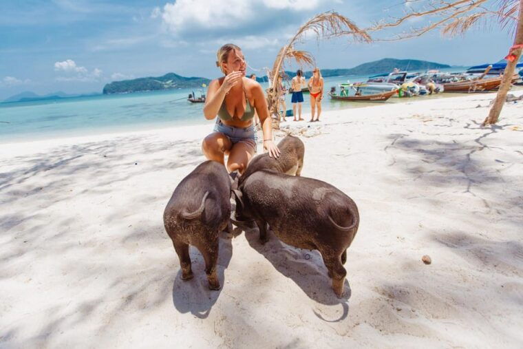 koh-samui-pig-island-private-longtail-boat-tour