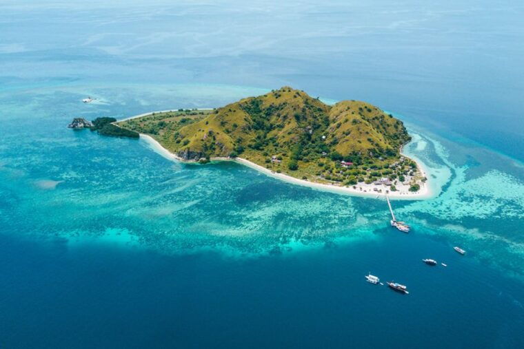 komodo-island-private-day-tour-by-speedboat