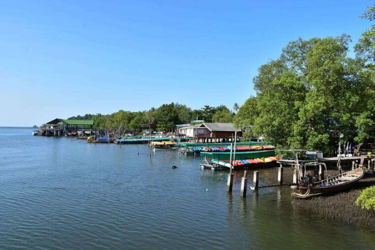 krabi-a-kayaking-odyssey-through-din-daeng-mangrove-maze