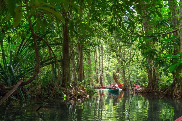 krabi-half-day-blue-lagoon-kayaking-at-klong-srakaew-atv