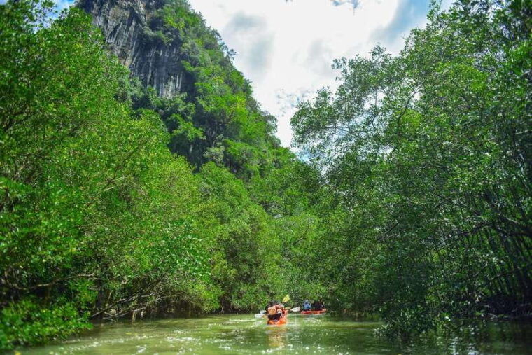 krabi-hidden-mangrove-kayaking-tour-with-optional-extras